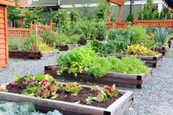 The Ultimate Guide to Building DIY Raised Beds for Vegetables